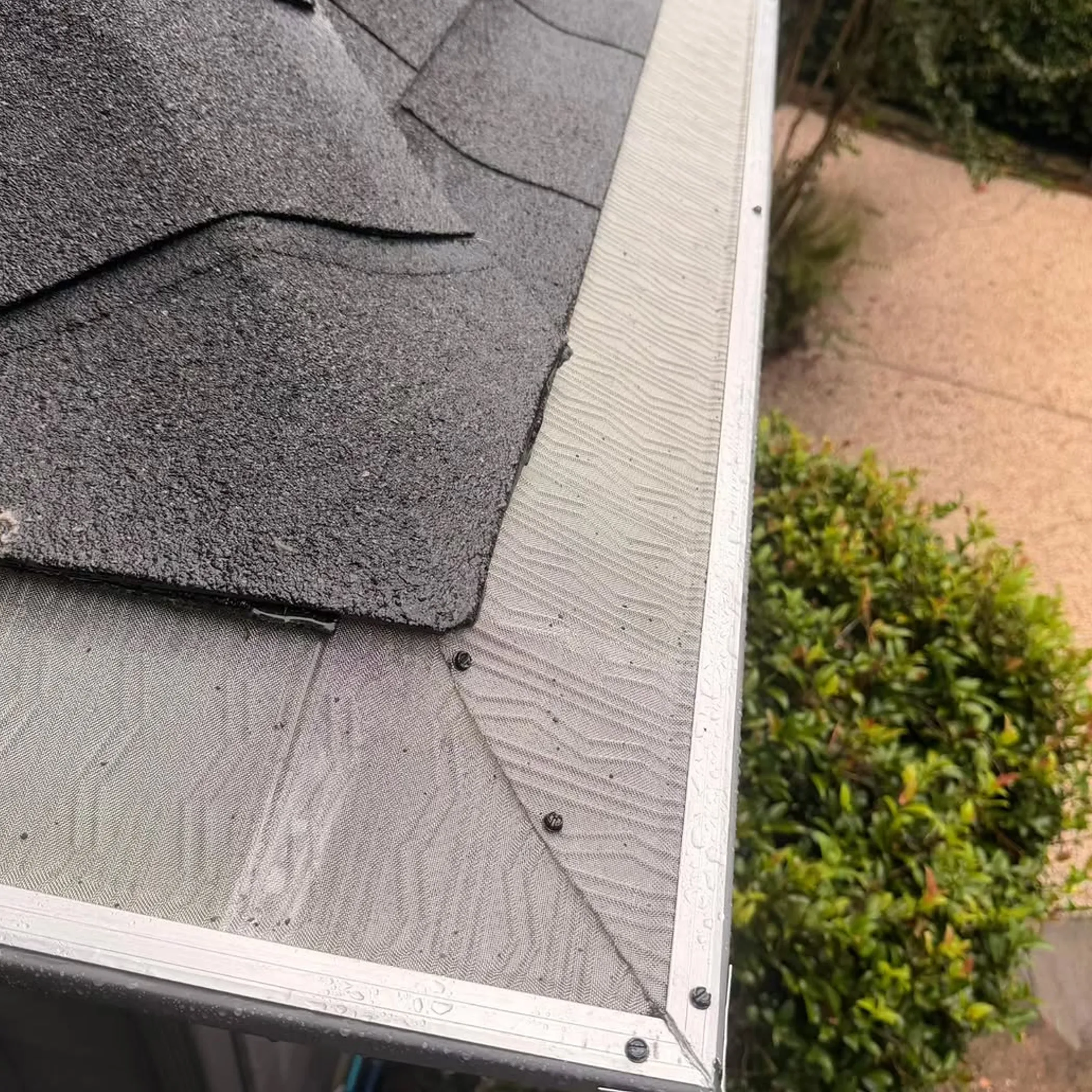 steel gutter with mesh protection