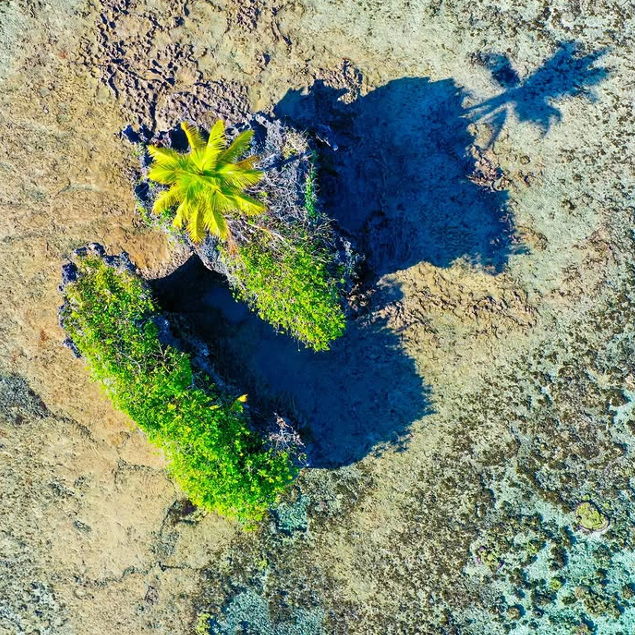 coral reef structures and small island
