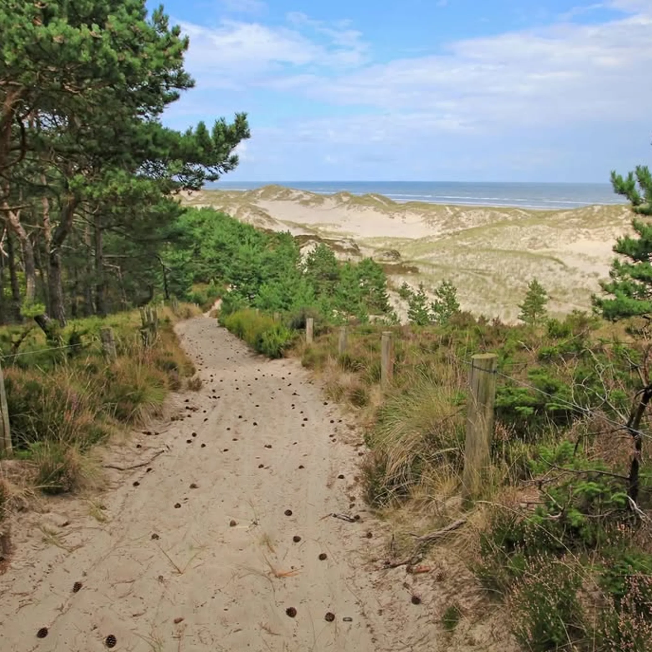 coastal trail with dunes and safety fencing
